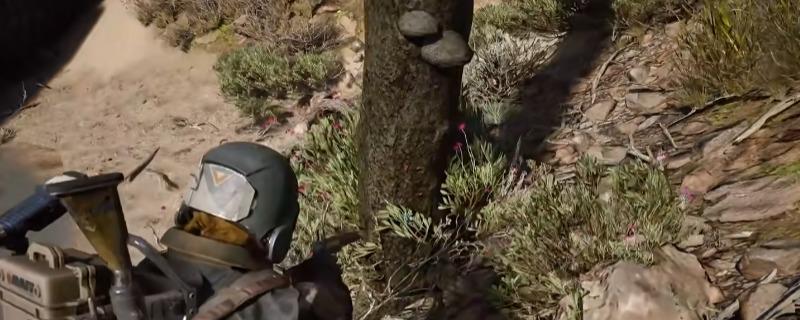 ARC Raiders蘑菇在哪捡，蘑菇生长位置介绍