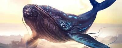 妄想山海胡荽怎么获取，胡荽获取方法攻略