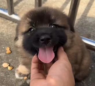 这就是江湖赤兔宝箱开箱指南，赤兔宝箱如何开启