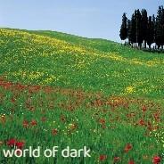 必玩的上帝模拟游戏有哪些，上帝模拟游戏推荐前十名