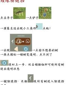 老农种树防遮挡技巧，如何避免树木遮挡问题