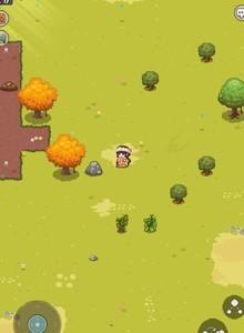 像素时代篝火怎么建造，篝火建造详细教程