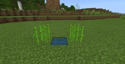 我的世界移动版全自动甘蔗机制作方法，甘蔗机详细教程