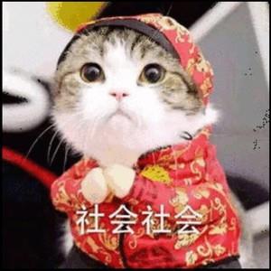 邦邦英雄新手指南，装备与技巧完整解析