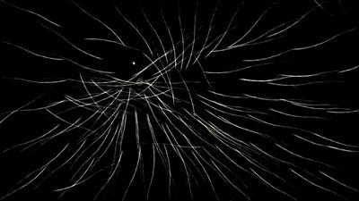 最耐玩的音乐程序生成游戏，十大音乐游戏推荐