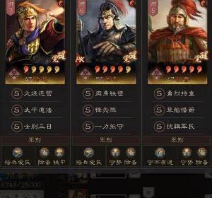 三国志，战略版周泰吴盾阵容解析，如何横扫满红