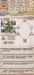 异世轮回录新手冒险攻略，新手指南一网打尽