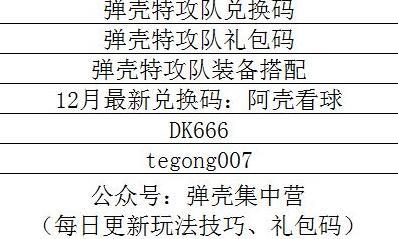 弹壳特攻队技能组合推荐，最强技能搭配指南