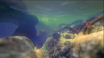 好玩的合作游戏推荐，下载量高的精选合作游戏