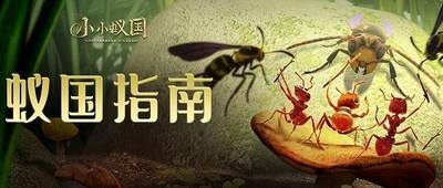 小小蚁国兵蚁培养指南，兵蚁养成方法详解