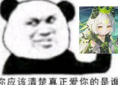 百分之一白毛永动队核心装备搭配指南