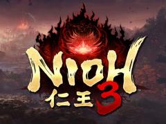 仁王 3游戏1.030.04更新发布，解决魂核获取无奖杯成就问题