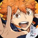 排球少年：新的征程 国服