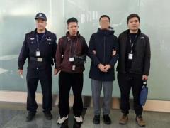 米哈游法务部对违规行为采取行动，妮可少女因持续大量泄露原神崩铁绝区零涉密内容被刑事处理