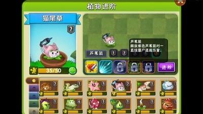 植物大战僵尸2猫尾草全屏狙击技巧，猫尾草使用攻略